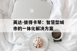 关于英达-彼得卡琴：智慧型城市的一体化解决方案的信息