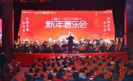 尼克斯队奏响高音，赢得胜利的简单介绍